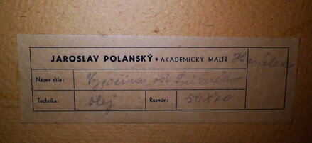 VYSOČINA OD SNĚŽNÉHO - POLANSKÝ JAROSLAV