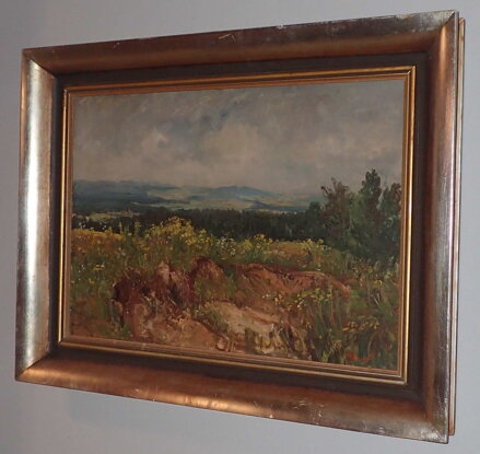 VYSOČINA OD SNĚŽNÉHO - POLANSKÝ JAROSLAV