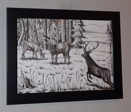 JELENÍ ŘÍJE - DLABAČ MICHAL MIKE