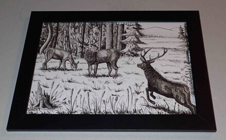 JELENÍ ŘÍJE - DLABAČ MICHAL MIKE