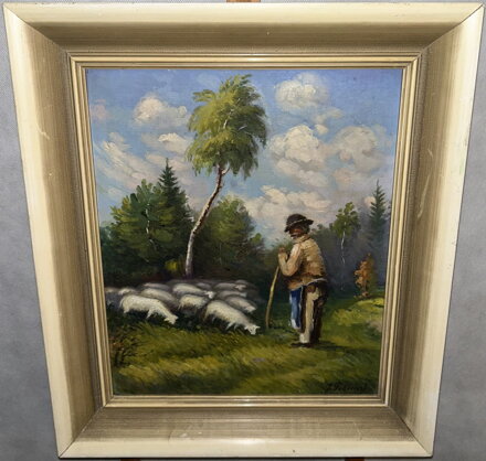 PASÁK OVCÍ - POKORNÝ JAROSLAV 