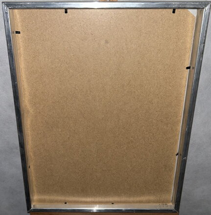 DÍVKA V KROJI S VÍNEM - ŠTEMBERA OTAKAR DÍVKA V KROJI S VÍNEM - ŠTEMBERA OTAKAR