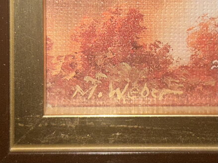 MALEBNÁ KRAJINA - WEBER MAX