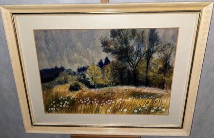 POLE U LESA - ŠTEMBERA OTAKAR POLE U LESA - ŠTEMBERA OTAKAR