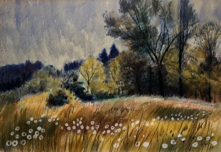 POLE U LESA - ŠTEMBERA OTAKAR POLE U LESA - ŠTEMBERA OTAKAR