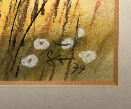 POLE U LESA - ŠTEMBERA OTAKAR POLE U LESA - ŠTEMBERA OTAKAR