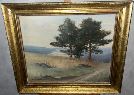 BOROVICE U POLE - SIGNOVÁN