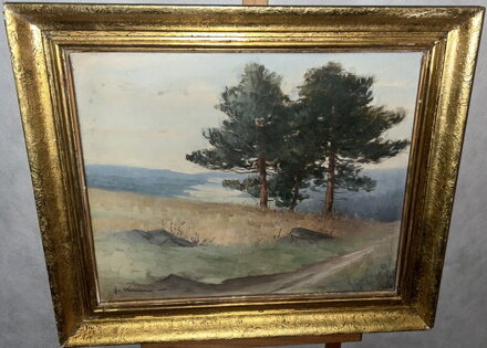 BOROVICE U POLE - SIGNOVÁN