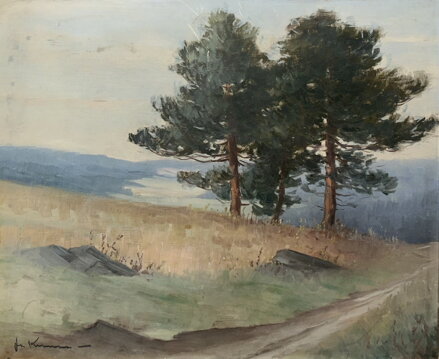 BOROVICE U POLE - SIGNOVÁN