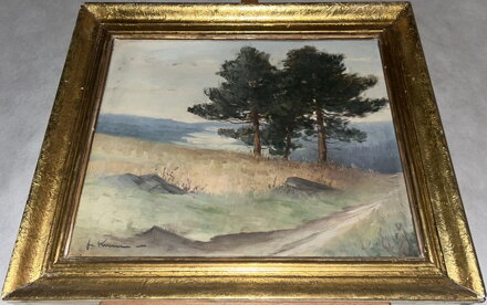 BOROVICE U POLE - SIGNOVÁN