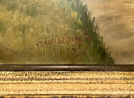 VRBY U ŘEKY - STEINBACH