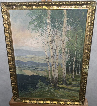 BŘÍZY NA SVAHU - KNOTEK O.