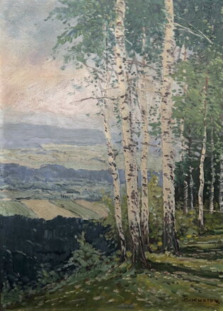 BŘÍZY NA SVAHU - KNOTEK O.