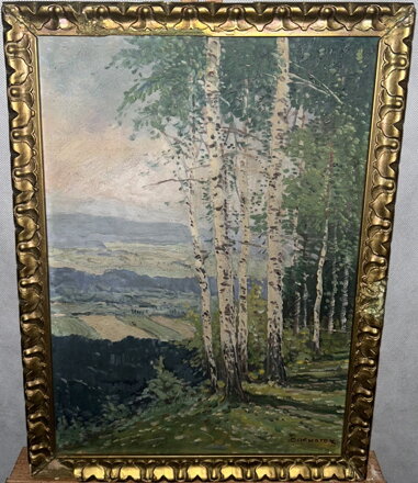 BŘÍZY NA SVAHU - KNOTEK O.