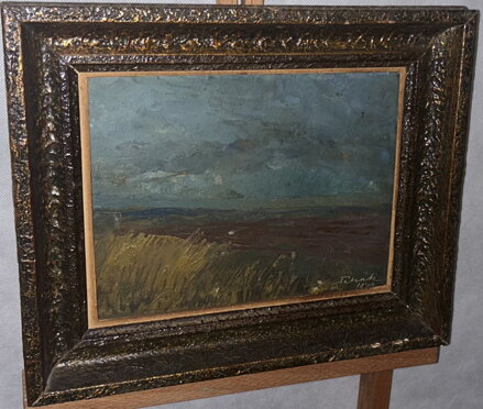 POLE U VODY - ČIHÁK FRANTIŠEK