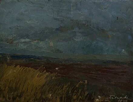 POLE U VODY - ČIHÁK FRANTIŠEK