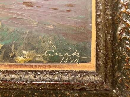 POLE U VODY - ČIHÁK FRANTIŠEK