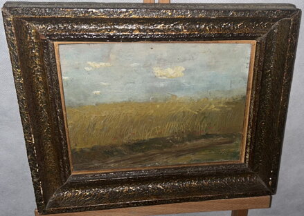 POLE - ČIHÁK FRANTIŠEK 