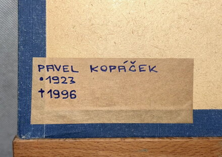 VES V ZIMĚ - KOPÁČEK PAVEL