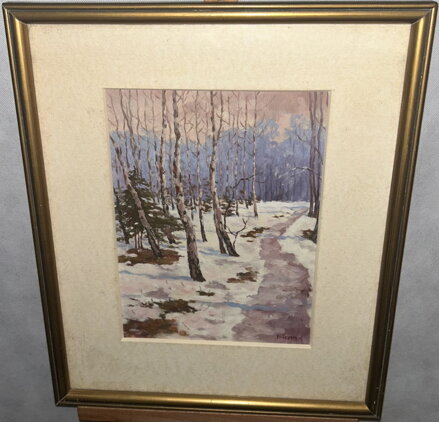 BŘEZOVÝ HÁJ V ZIMĚ - BŘEZINA KAREL