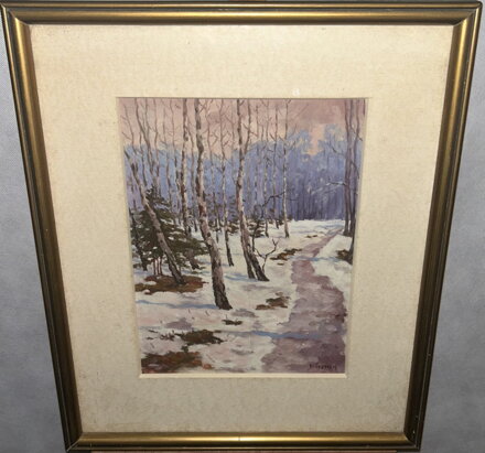 BŘEZOVÝ HÁJ V ZIMĚ - BŘEZINA KAREL