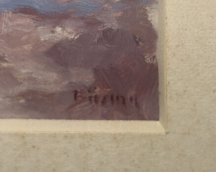 BŘEZOVÝ HÁJ V ZIMĚ - BŘEZINA KAREL