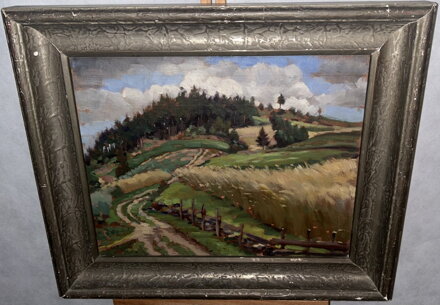 CESTA V KRAJINĚ - GLÜCKSELIG ZDENĚK CESTA V KRAJINĚ - GLÜCKSELIG ZDENĚK