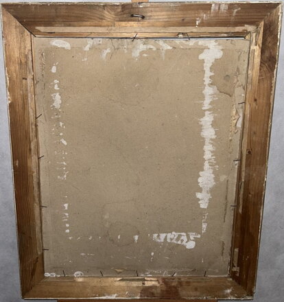 TATRY V DÁLI - VONDRÁČEK