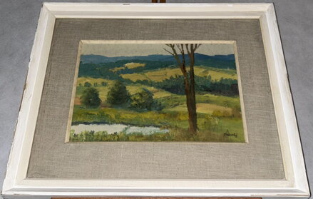 VÝHLED DO KRAJE - SADOVSKÝ FRANTIŠEK VÝHLED DO KRAJE - SADOVSKÝ FRANTIŠEK