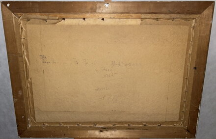 ZIMA ZA MĚSTEM - HRABA VÁCLAV