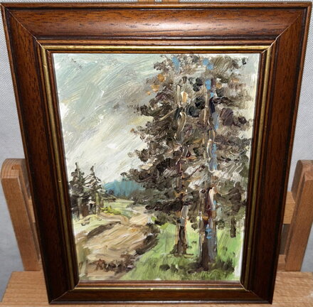 LESNÍ CESTA - RUBEŠ JAROSLAV