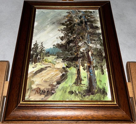 LESNÍ CESTA - RUBEŠ JAROSLAV