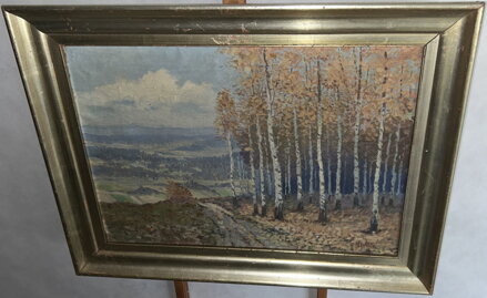 BŘEZOVÝ HÁJ NA PODZIM - STEHLÍK