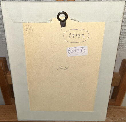 BOŽÍ DAR - LIESLER JOSEF