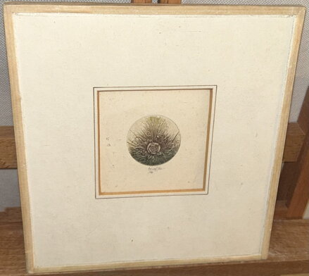 KVĚTINY - SIGNOVÁN