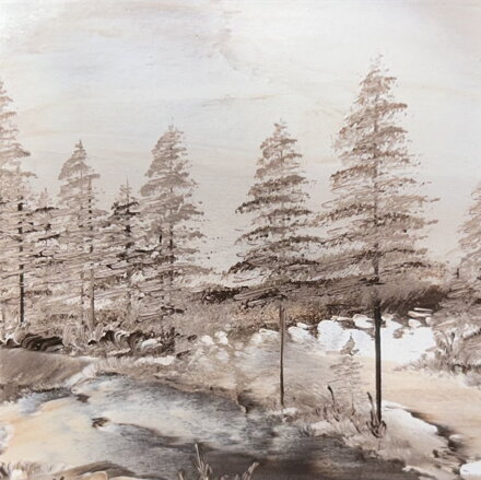 VYSOČINA - ŽOCH PETR