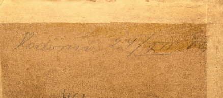 CHALUPA NA HODONÍNSKU - DOMANSKÝ