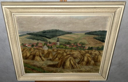 SNOPY ZA VSÍ - STUDENÁ J.