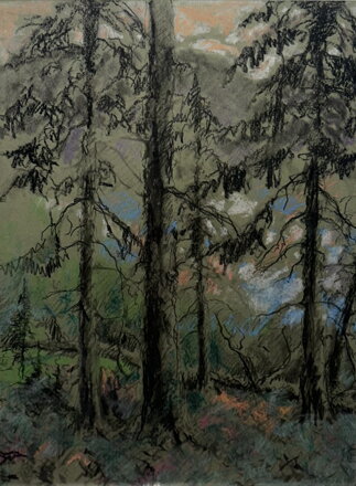 STROMY V LESE - SIGNOVÁN