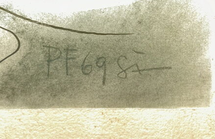 AKT SVLÉKAJÍCÍ SE ŽENY - ŠTEMBERA OTAKAR