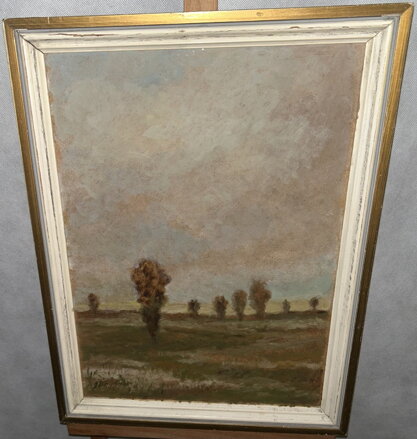 STROMY V KRAJINĚ - BRUNNER JAROMÍR