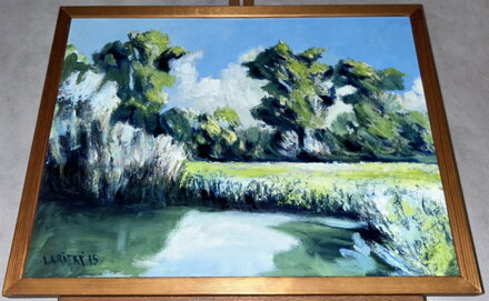 U RYBNÍKA - KRÁTKÝ LUBOMÍR