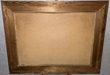 VLČÍ MÁKY VE VÁZE - STEIN VÁCLAV