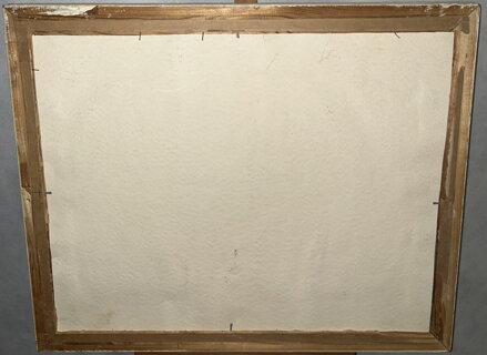 POHLED NA PRAŽSKÝ HRAD A KARLŮV MOST -  MÁDLO JIŘÍ