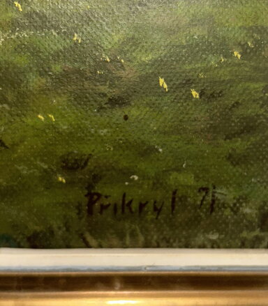 CESTA V KRAJINĚ - PŘIKRYL