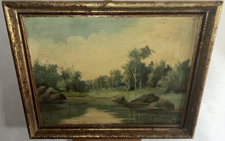 KAMENY V ŘECE - TOMAN FRANTIŠEK SYLVA