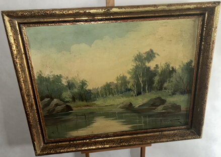 KAMENY V ŘECE - TOMAN FRANTIŠEK SYLVA