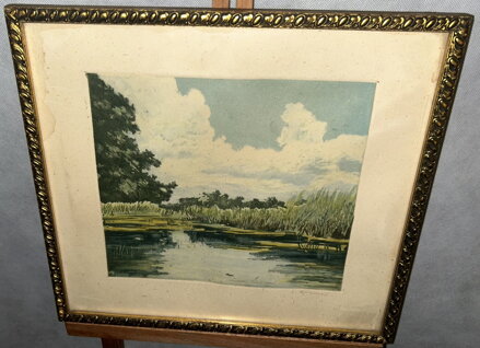 RÁKOSÍ U RYBNÍKA - SIGNOVÁN