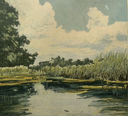 RÁKOSÍ U RYBNÍKA - SIGNOVÁN