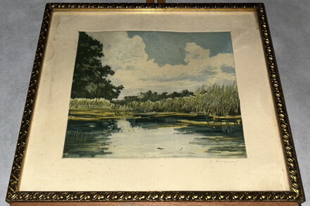 RÁKOSÍ U RYBNÍKA - SIGNOVÁN